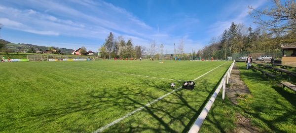 Fotbalové hřiště Sokol Podlesí - Valasske Mezirici