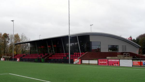 Sportpark De Bijenkorf veld 2-hoofdveld - Hengelo OV