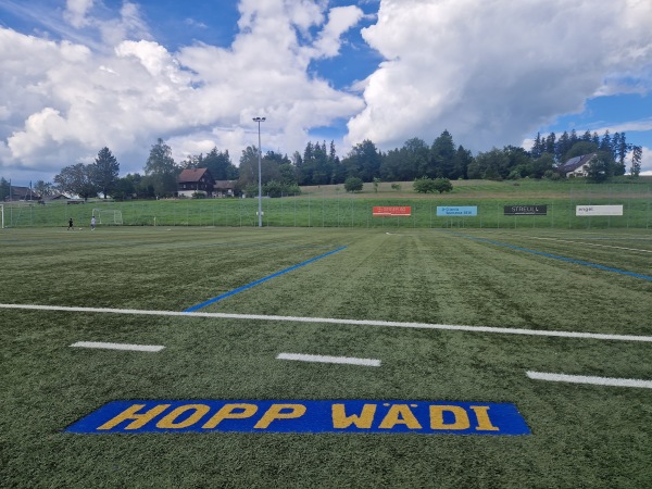 Sportplatz Beichlen Platz 2 - Wädenswil