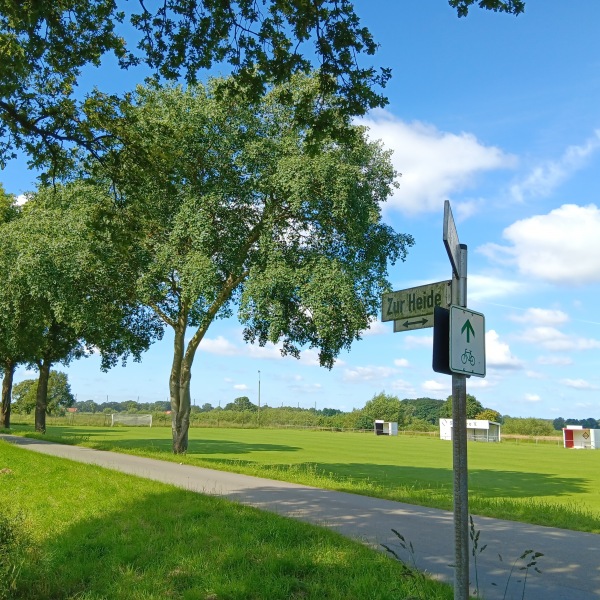 Vechte-Platz - Esche