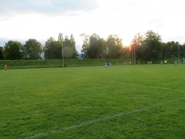 Sportanlage Wiesenrain - Lustenau