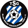 Wappen TSG Blau-Weiß Großlehna 1990  35538