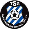 Wappen TSG Blau-Weiß Großlehna 1990