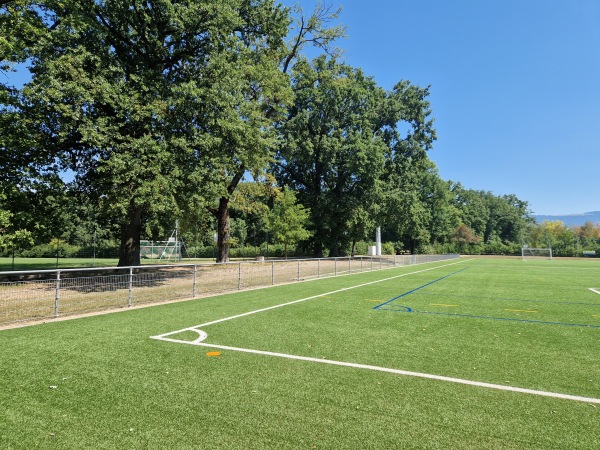 Centre Sportif Intercommunal des Evaux terrain 6 - Onex
