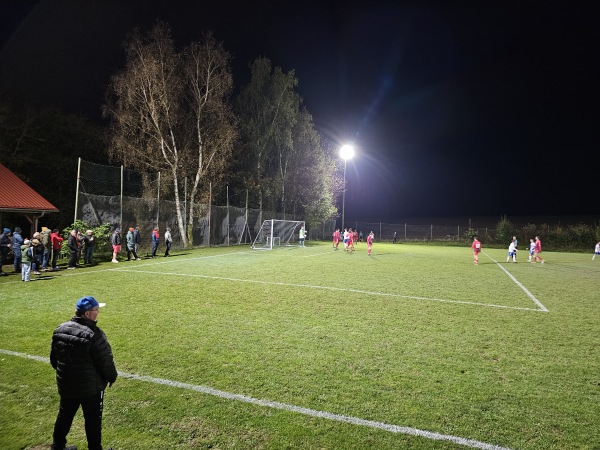 Sportplatz am Freibad - Freudenberg/Oberpfalz