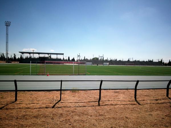 Estadio Municipal Rafael Mendoza - Pinto, MD