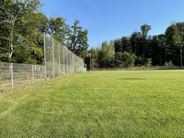 Sportanlage Forsthausstraße Platz 2 - Babenhausen/Hessen-Langstadt
