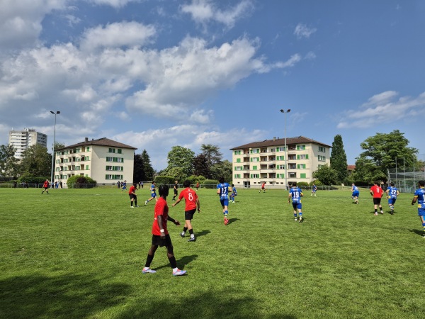 Terrain des Iles - Yverdon-les-Bains