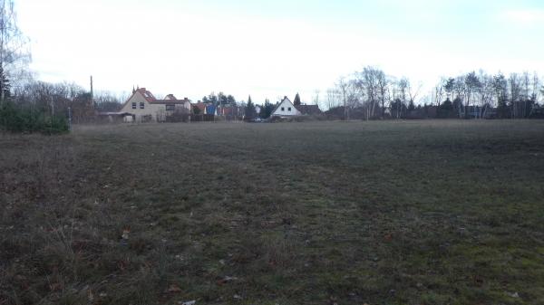Waldsportplatz - Neupetershain-Nord