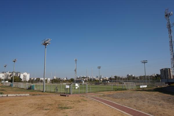 Holon Artificial Field - Holon