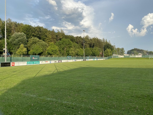 Sportanlage im Brand Platz 2 - Thalwil