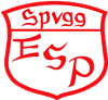 Wappen SpVgg. Erzenhausen/Schwedelbach/Pörrbach 1928 diverse  98513