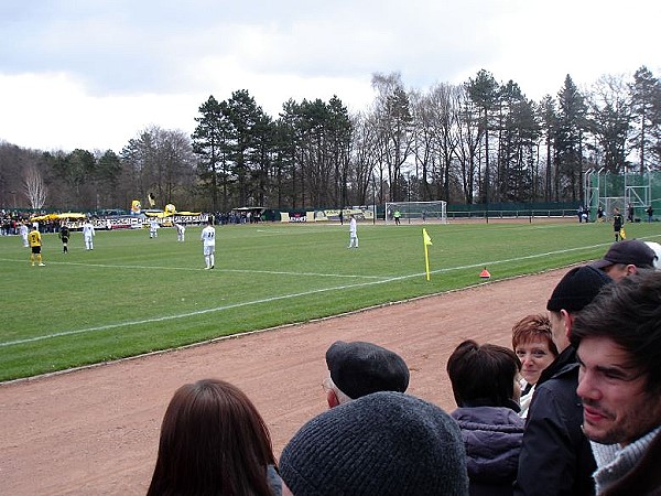 Stadion auf dem Pfaffenberg - Hohenstein-Ernstthal