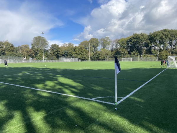 Sportpark Zwaluwenlaan veld 2 - Vlaardingen