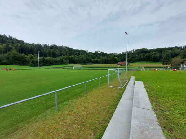 Sportplatz Arlets Platz 2 - Rikon