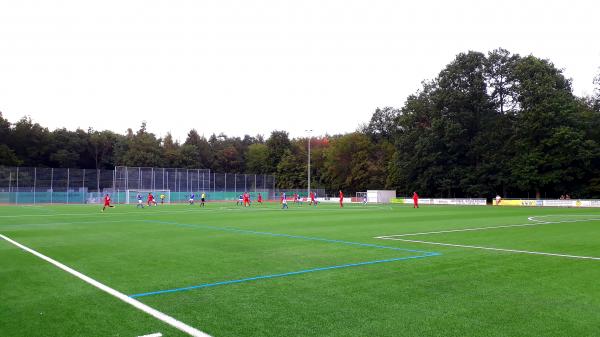 Sportpark Dicke Buche Platz 2 - Maintal-Dörnigheim