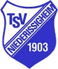Wappen TSV 03 Niederissigheim II