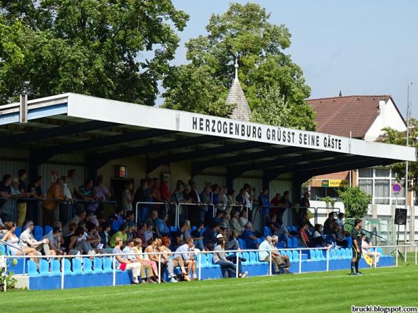 Fenster Kaiser Stadion - Herzogenburg