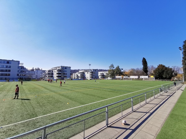 Sportplatz Steinkluppe - Zürich