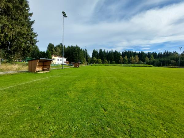 Waldsportplatz 2 - Auerbach/Vogtland-Beerheide