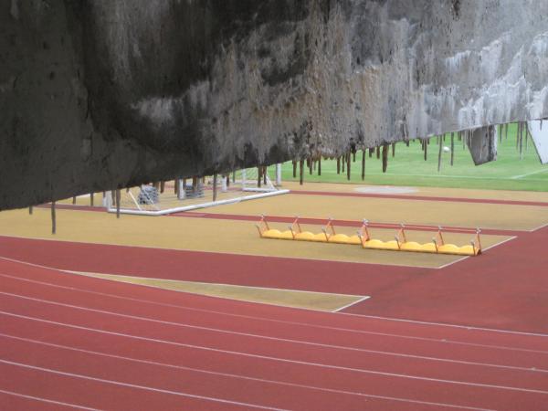 Steponas Dariaus ir Stasys Girėno stadionas (1925) - Kaunas