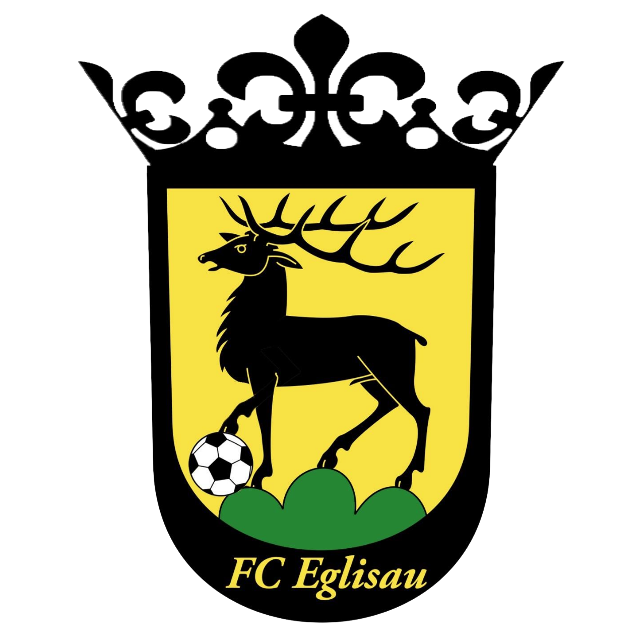 Wappen FC Eglisau  34024