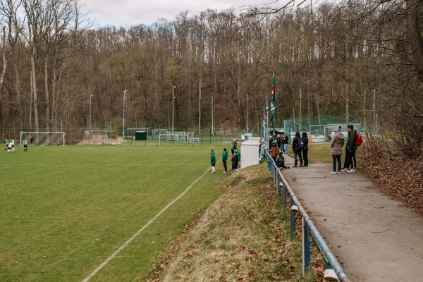 Sportplatz Plexgrund - Lichtentanne-Schönfels