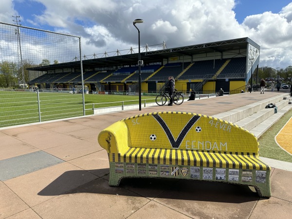 Henk Nienhuis Stadion - Veendam