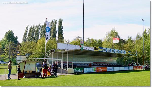 Sportpark De Leeuwenkuil veld 2 - Rotterdam