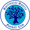 Wappen Spelthorne Sports FC