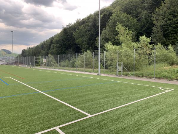 Sportplatz Löösch Platz 2 - Adligenswil