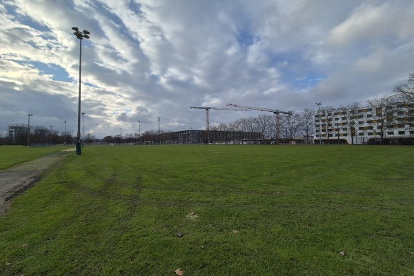 Sportanlage Bachgraben Platz 6 - Allschwil