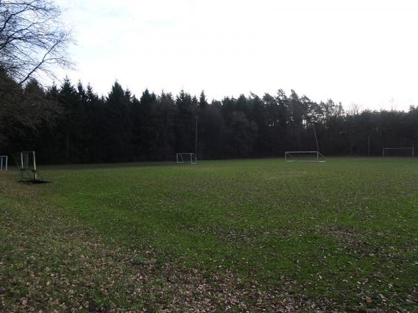 Allerkampfbahn C-Platz - Hodenhagen