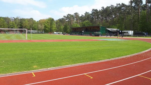 Waldstadion - Ueckermünde