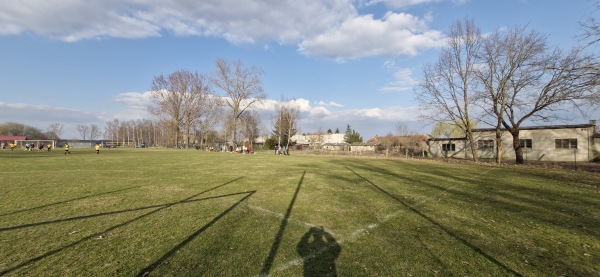 Boisko w Borowie Wielkim - Borów Wielki