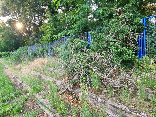 Sportplatz Kienfichten - Dessau-Roßlau