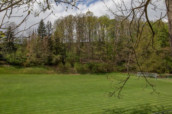 Sportplatz am Hirschbach - Striegistal-Pappendorf