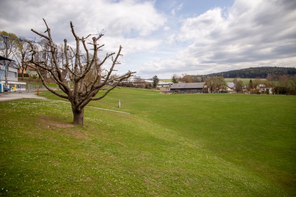 Sportplatz Zottbachtalschule - Pleystein