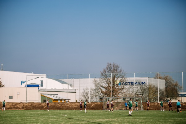 Freddy Fresh Fairplay Arena - Thiendorf