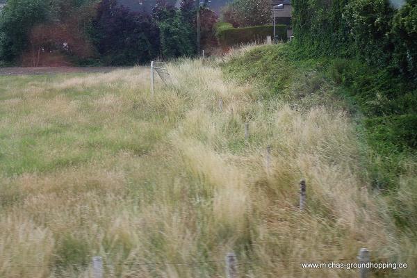 Terrain Avenue Doyen Roger Woine - Yvoir