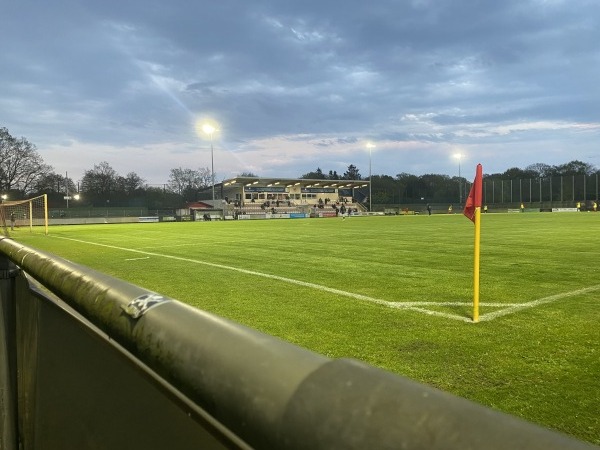 Marko Mock Arena