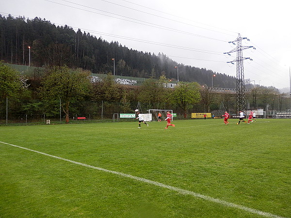 Sportplatz Wiesengasse C  - Innsbruck