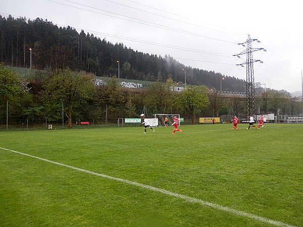 Sportplatz Wiesengasse C - Innsbruck
