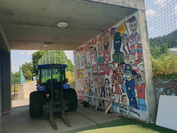 Fußballschule am Möslestadion Platz 2 - Freiburg/Breisgau