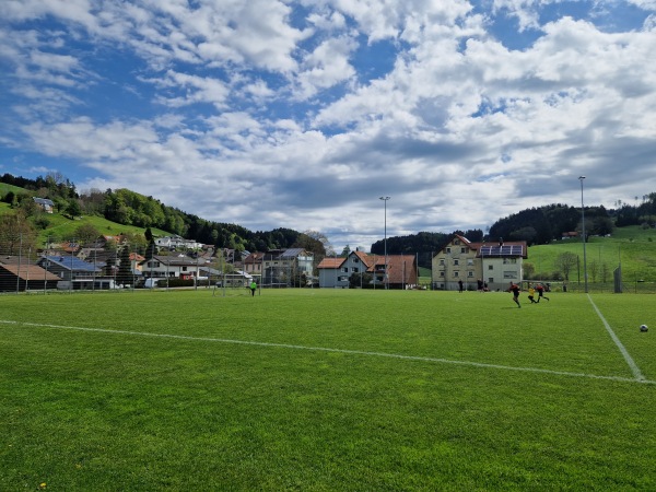 Sportplatz Wies - Heiden