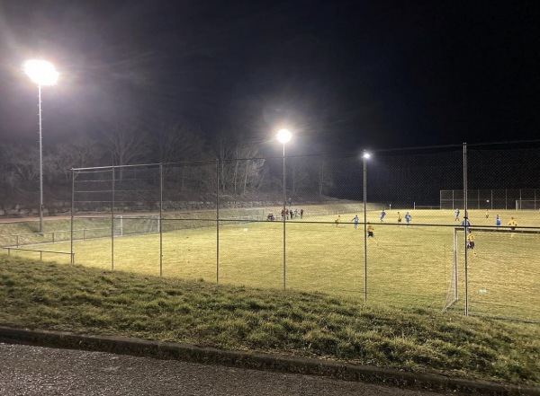 Sportanlage Wengenweg Platz 2 - Mötzingen