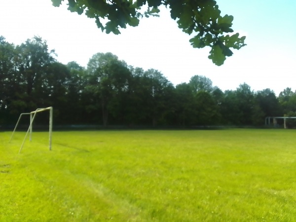 Sportplatz Berufliche Schulzentren für Wirtschaft I - Chemnitz-Lutherviertel