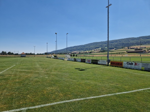 Sportplatz Huebwis - Niederweningen