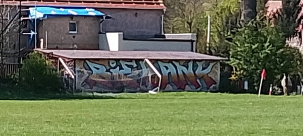 Boisko w Biedrzychowicach - Biedrzychowice