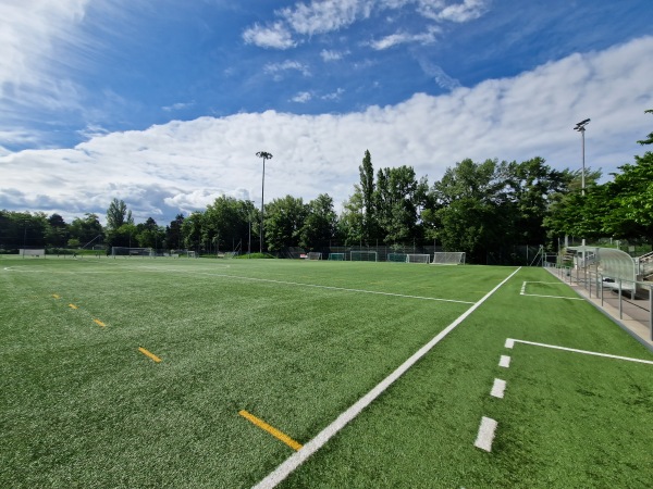 Stade de la Fontenette terrain B - Carouge GE